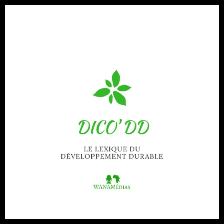 cover art for Présentation et Teaser de Dico'DD !