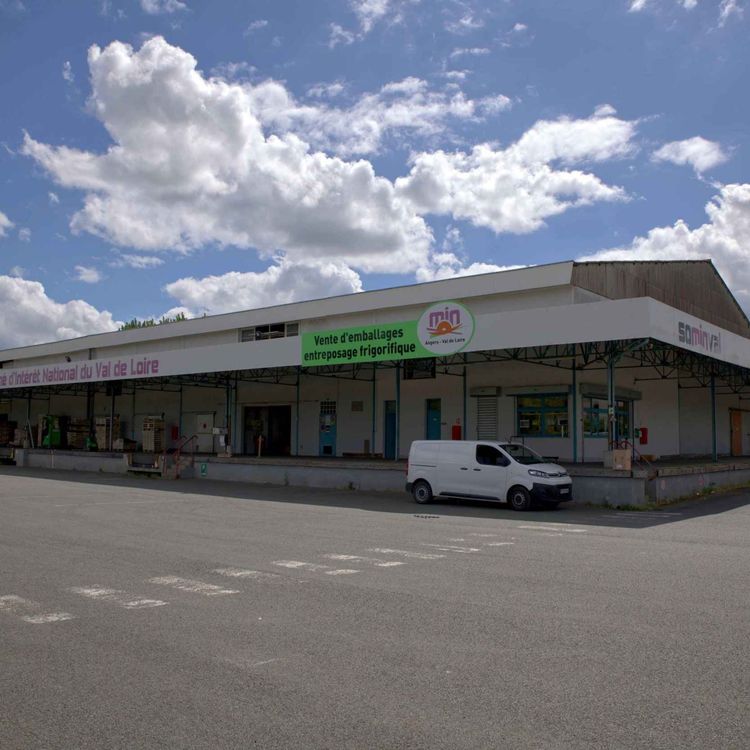 cover art for LE MICRO EN MAIN : Vivy. Découverte du M.I.N, station d’échange fruitière et légumière