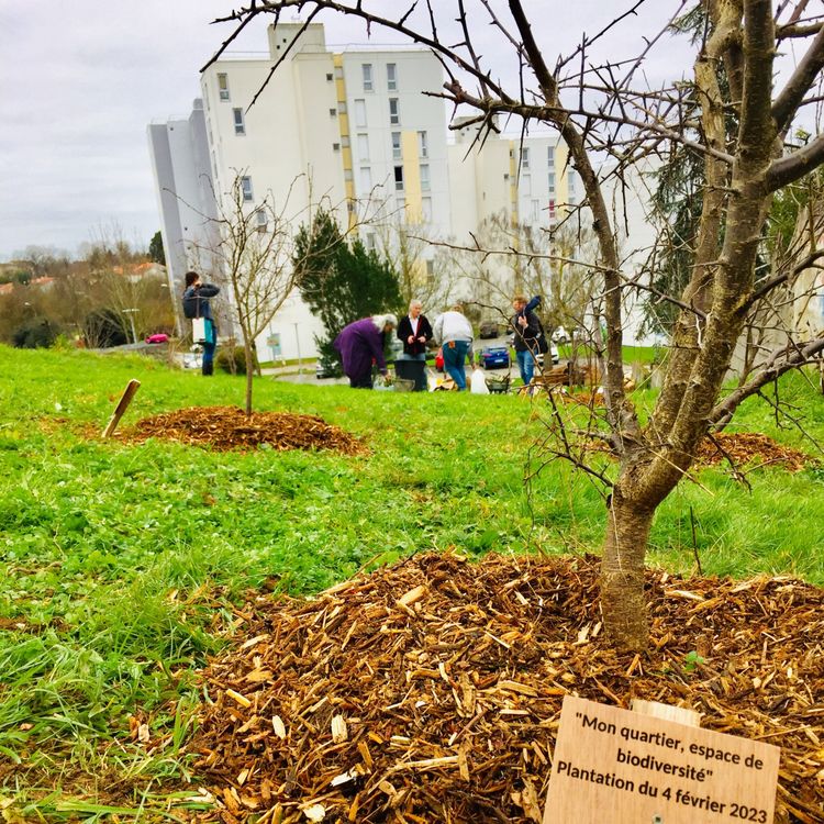 cover art for PENSER LOCAL : Sensibiliser à la biodiversité de quartier à la Roche sur Yon 