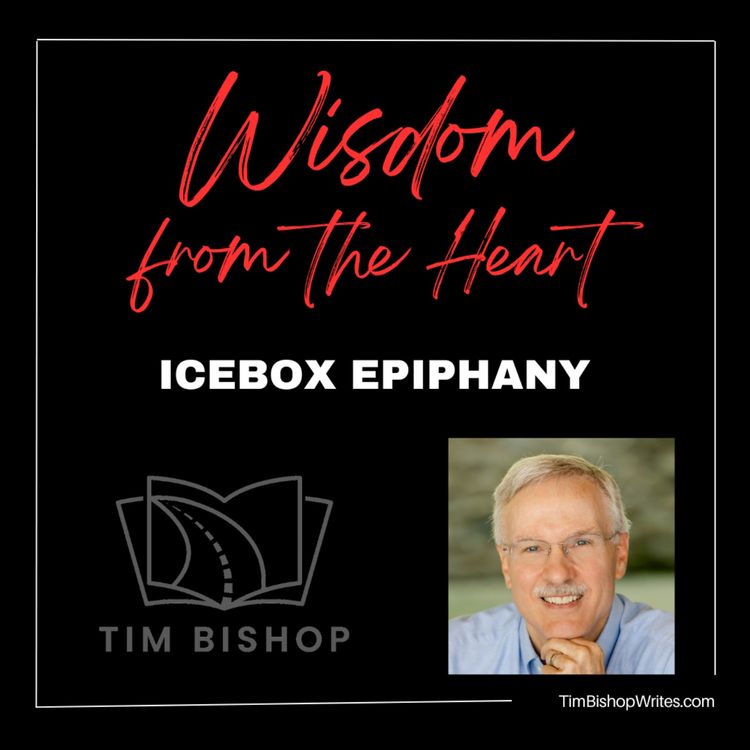 cover art for Icebox Epiphany