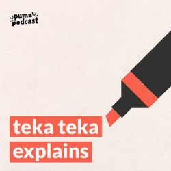 cover art for Teka Teka Explains