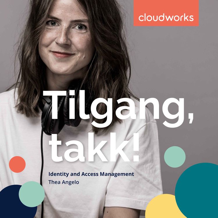 cover art for Hva er IAM?