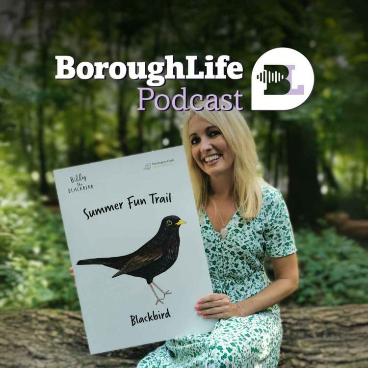 cover art for Summer Fun and Arctic Home