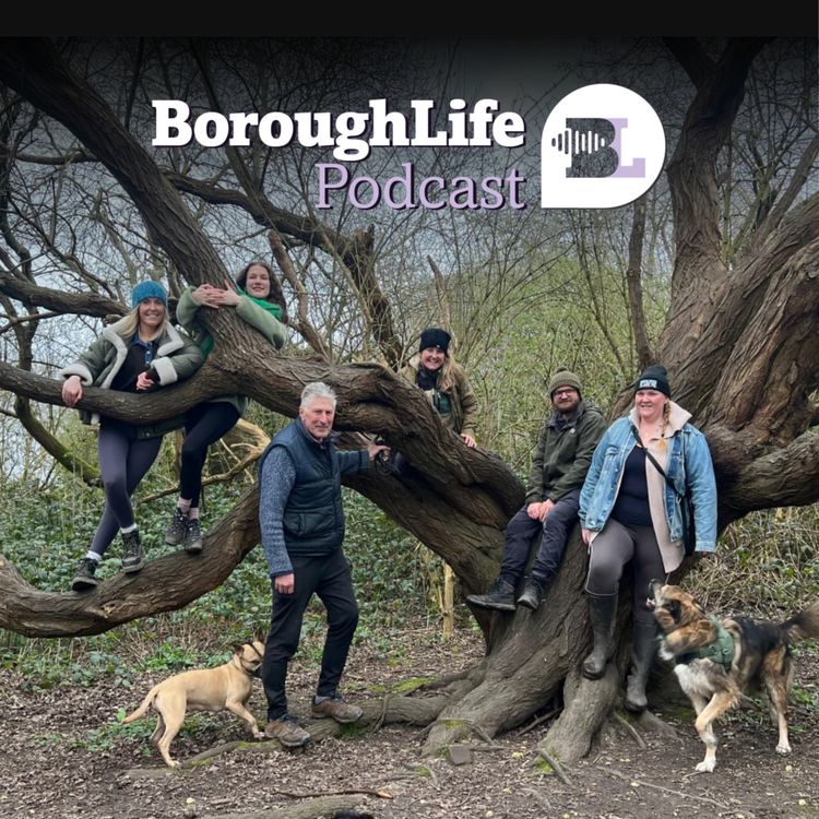 cover art for The Field at the Flash and a flashback to 1986