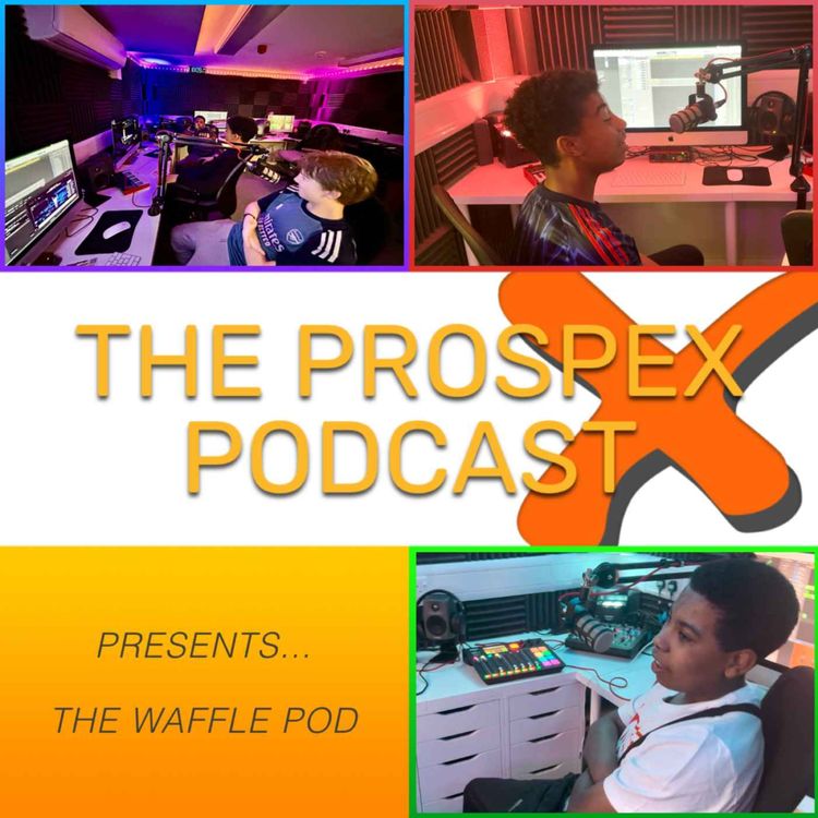 cover art for The Waffle Pod - School Lesson Rankings
