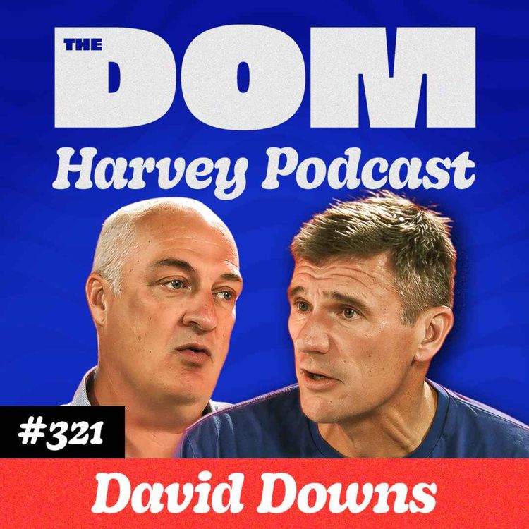 cover art for David Downs: Comedian, Cancer Survivor & The Man Selling NZ to the World
