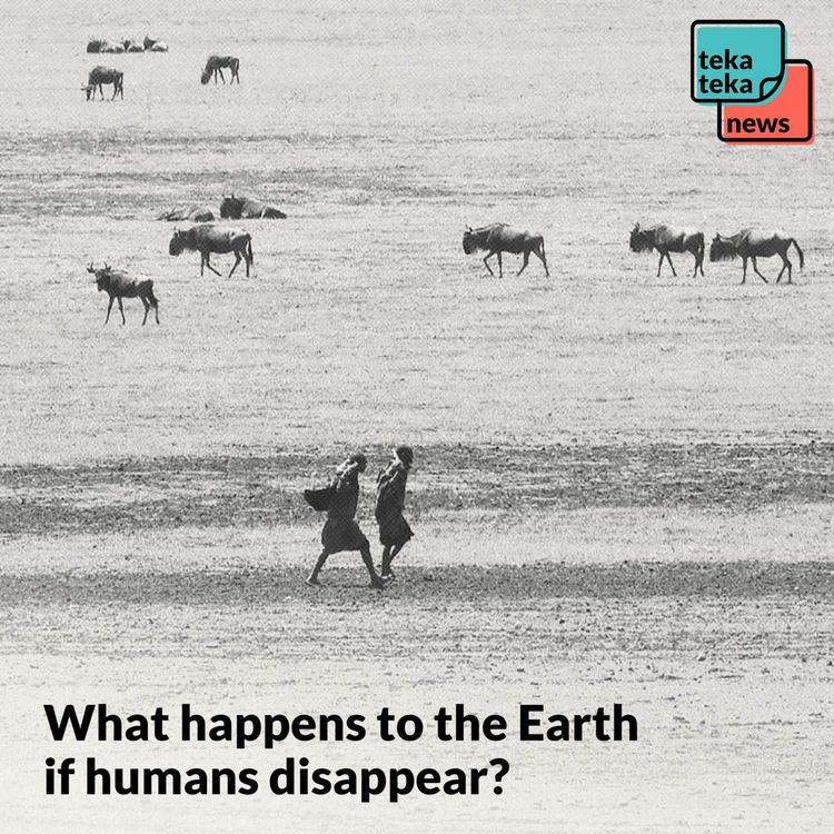 cover art for What happens to the Earth if humans disappear?