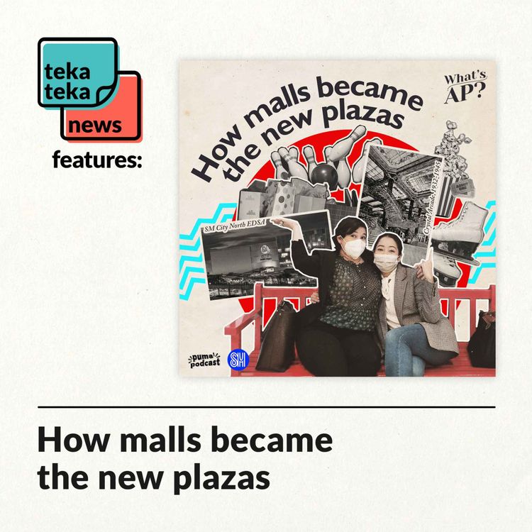 cover art for How malls became the new plazas