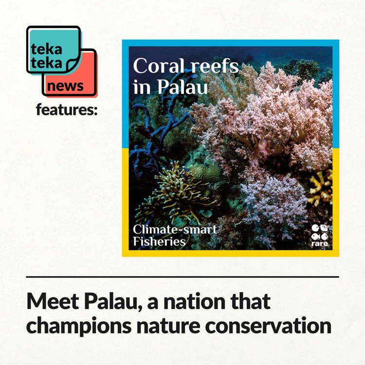 cover art for Meet Palau, a nation that champions nature conservation