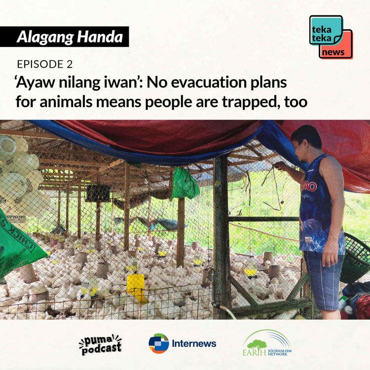 cover art for ‘Ayaw nilang iwan’: No evacuation plans for animals means people are trapped, too