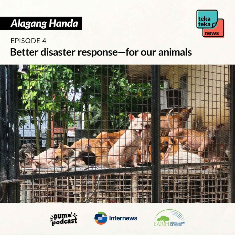 cover art for Better disaster response—for our animals