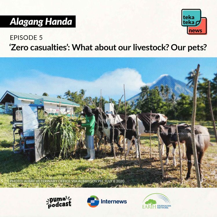 cover art for Episode 5: 'Zero casualties': What about our livestock? Our pets?