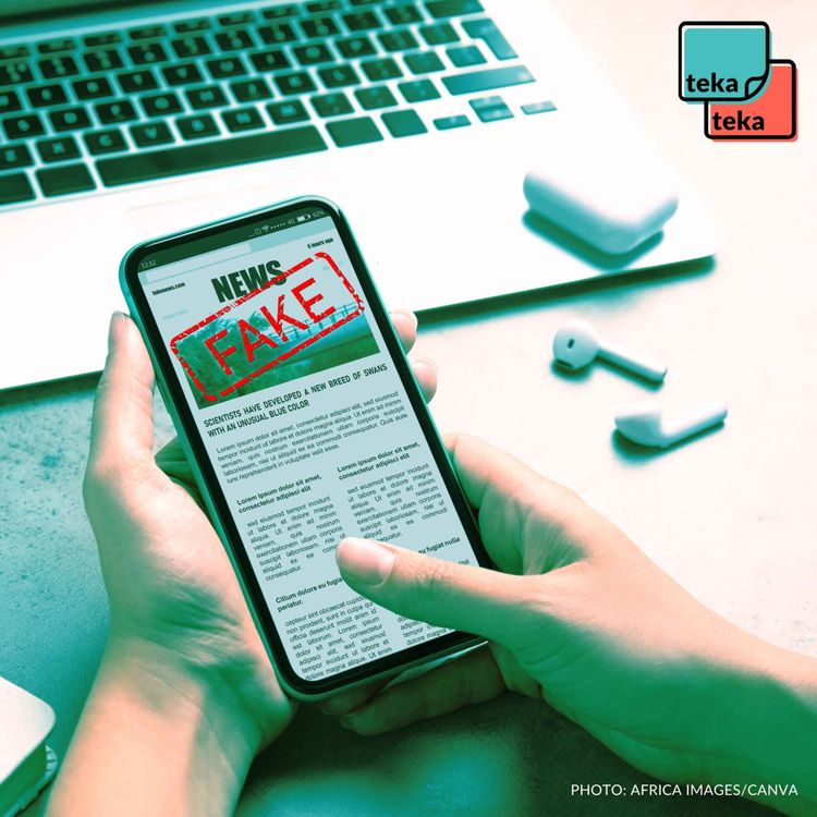 cover art for In a world of disinformation, what can fact-checking do?