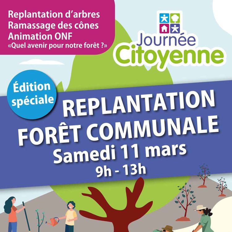 cover art for Baugé-en-Anjou. Incendie : opération replantation programmée 