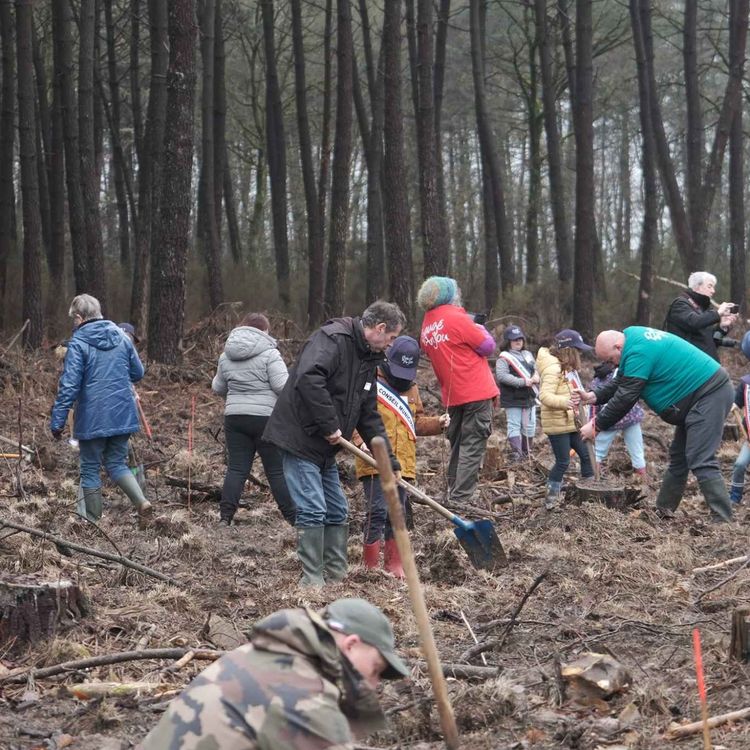 cover art for Baugé-en-Anjou. Journée citoyenne : plus de 100 personnes pour la matinée replantation