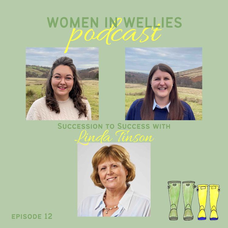 cover art for Episode 12 - Linda Tinson