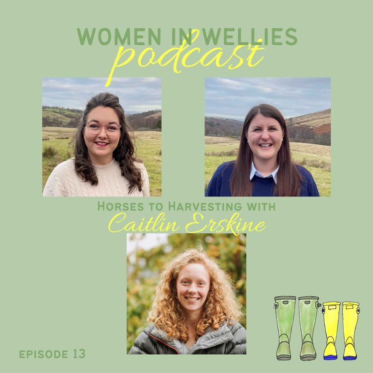 cover art for Episode 13 - Caitlin Erskine