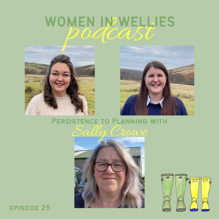 cover art for Episode 25 - Sally Crowe