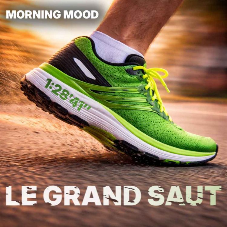 cover art for Sub 1h30 Semi marathon : La victoire d'un système, pas d'un homme