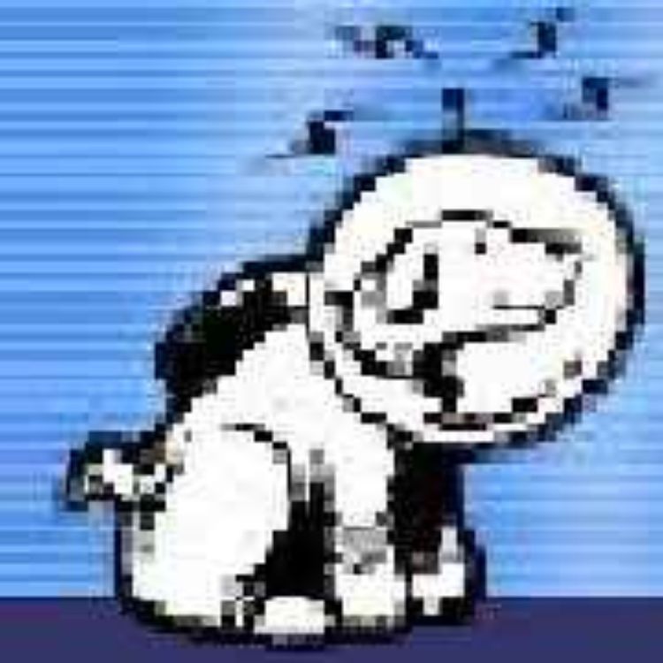 cover art for Home of the Underdogs (1998-2009)