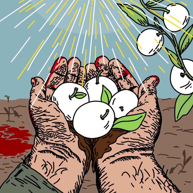 cover art for Fruit Divin Parfait