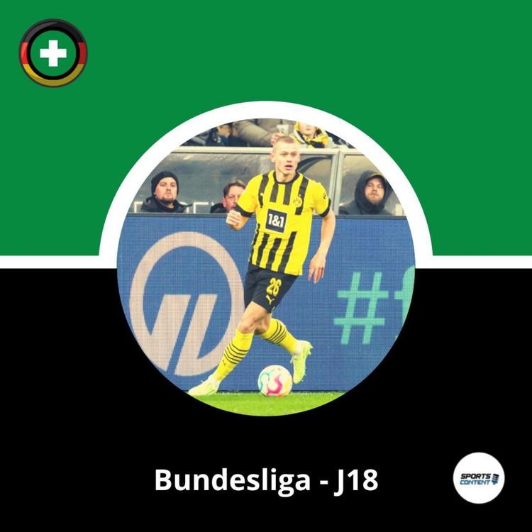 cover art for Bundesliga - J18 : Niko Kovac et Wolfsburg, c'est beau !