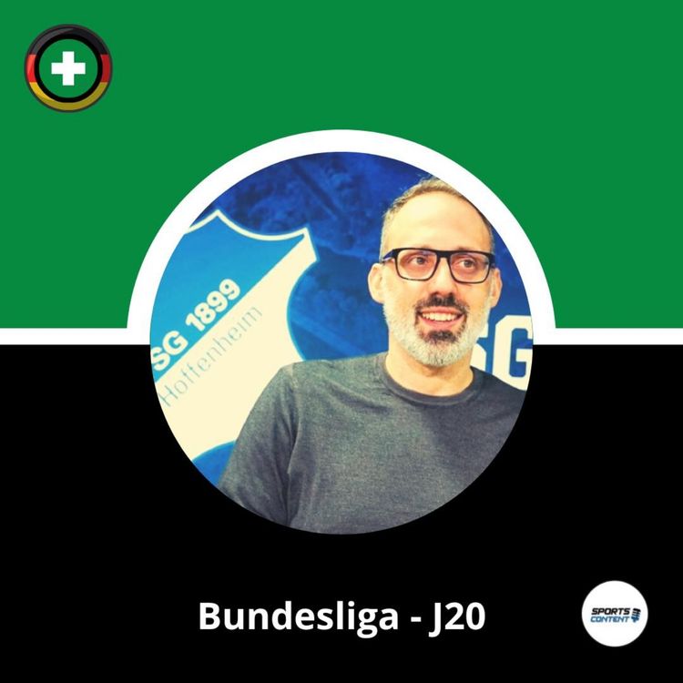 cover art for Bundesliga - J20 : où va le TSG Hoffenheim ?