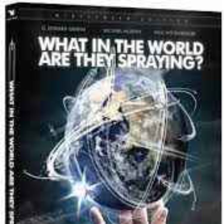 cover art for Michael Murphy- What in the World are they Spraying?
