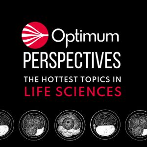 cover art for Optimum Perspectives