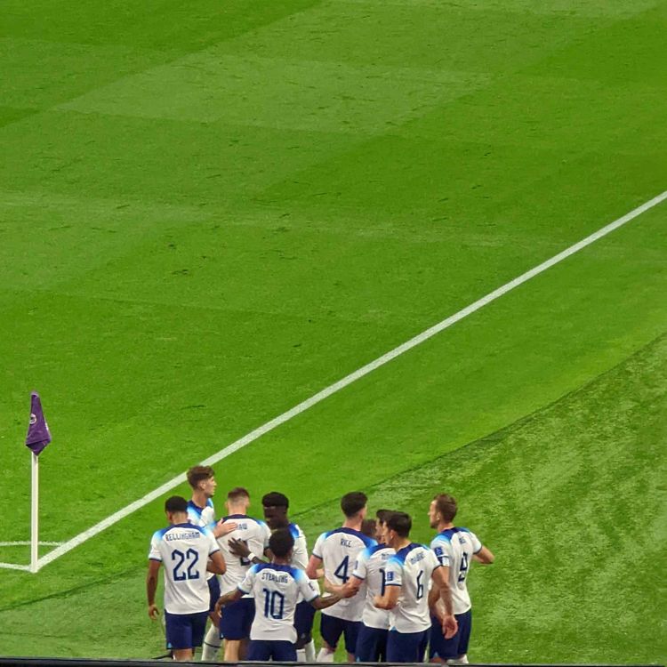 cover art for Lovers and losers