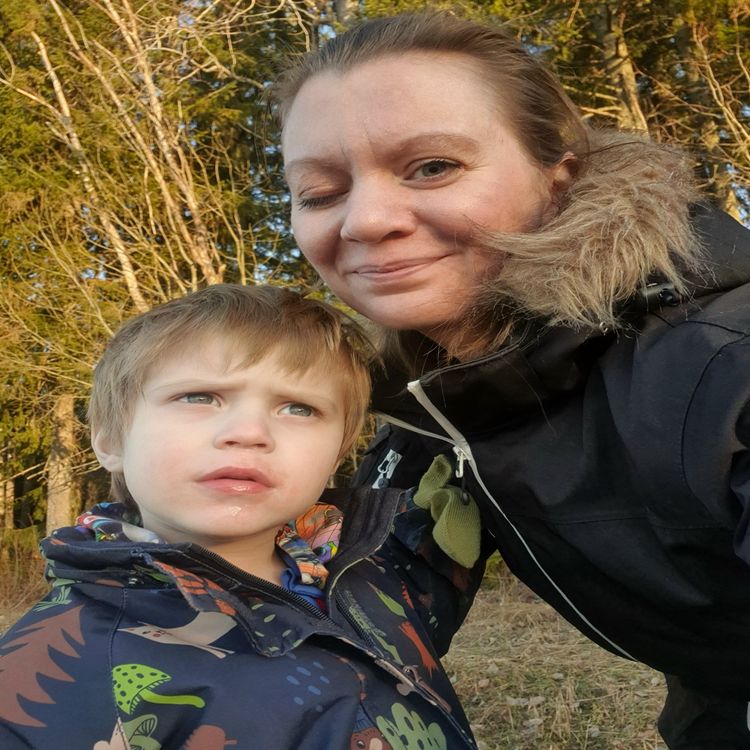 cover art for Anina Laroma