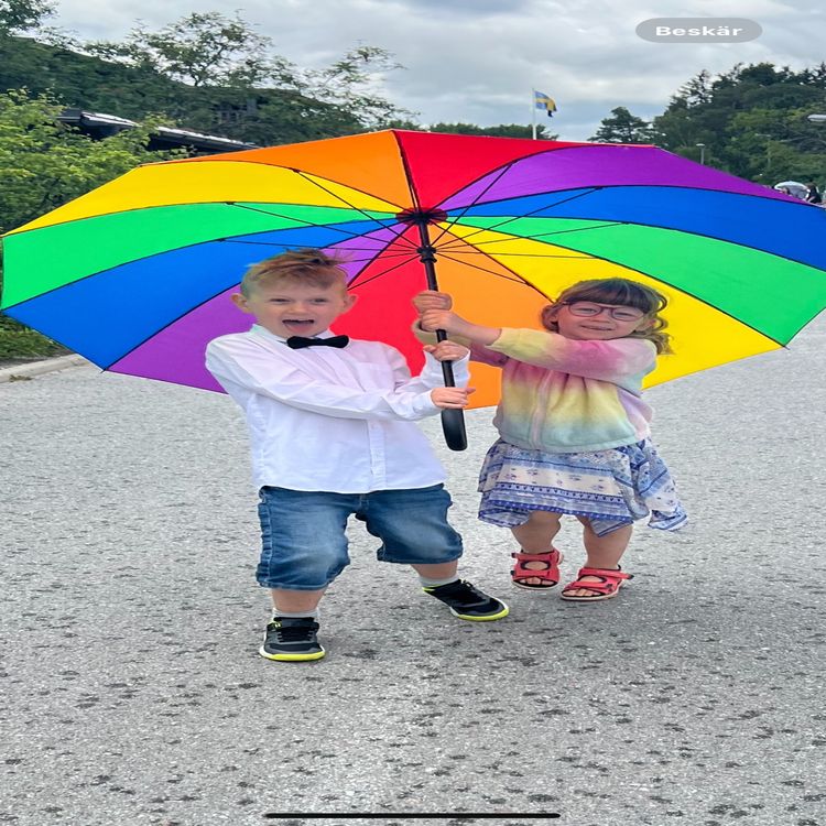 cover art for Hanna Höglander