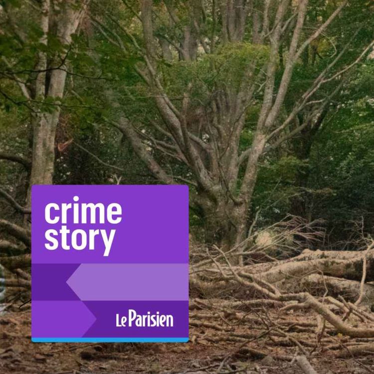 cover art for [1/2] L’affaire du Bois Bleu : le banquier assassiné et le poison de la rumeur