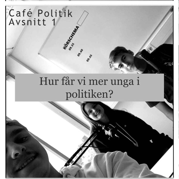 cover art for Hur får vi mer unga i politiken? -Alva Mogert Palm& Alfons Carlsson