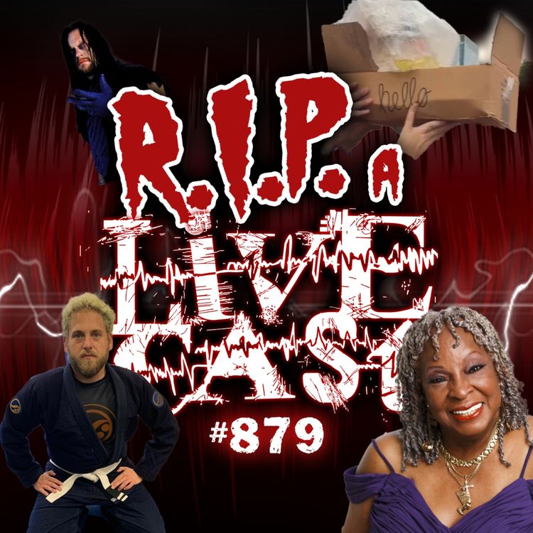 cover art for RIP a Livecast #879 - The Notebook Has Been Validated
