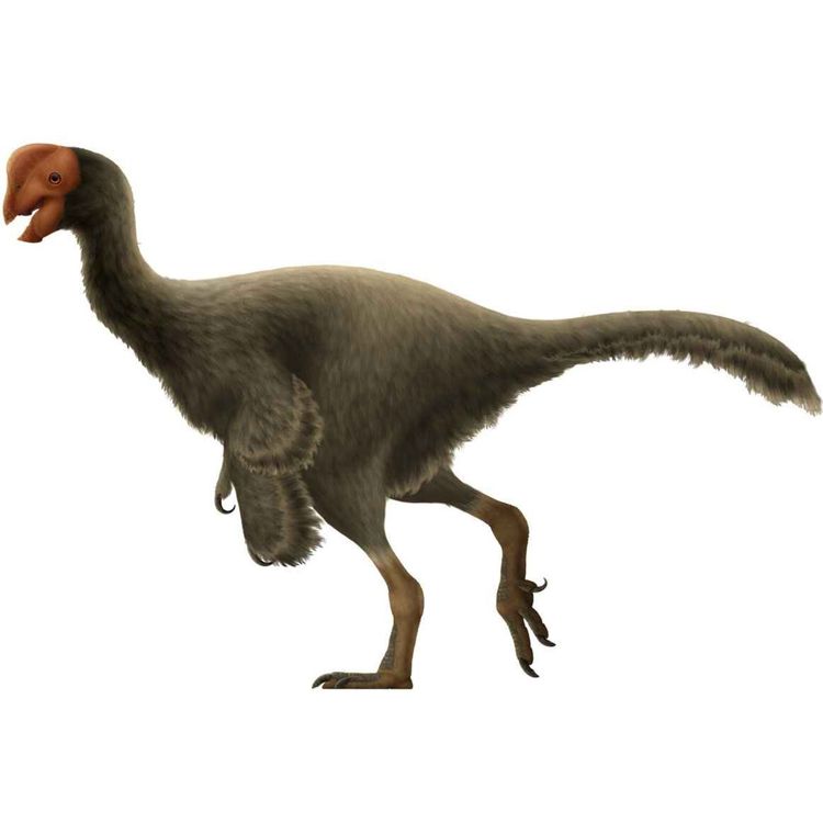 cover art for Oviraptor, the Egg Thief