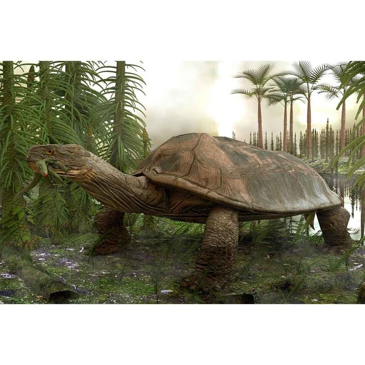 cover art for Carbonemys, the Coal Turtle