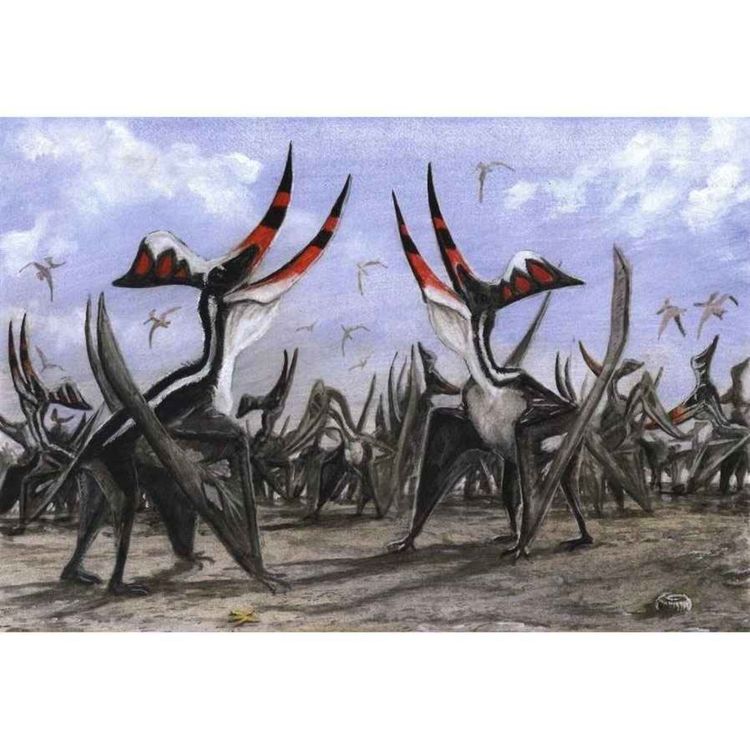 cover art for Geosternbergia, of George Sternberg