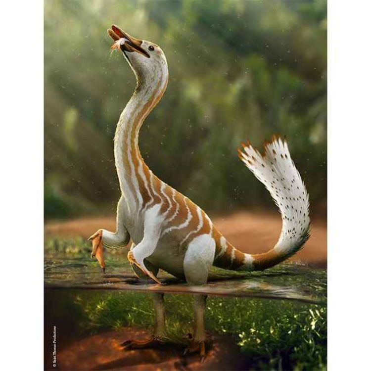 cover art for Halszkaraptor, the Thief of Halszka Osmolska