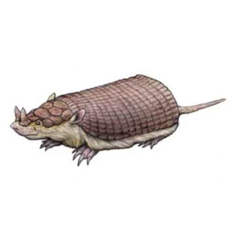 cover art for Peltephilus, the Armor Lover