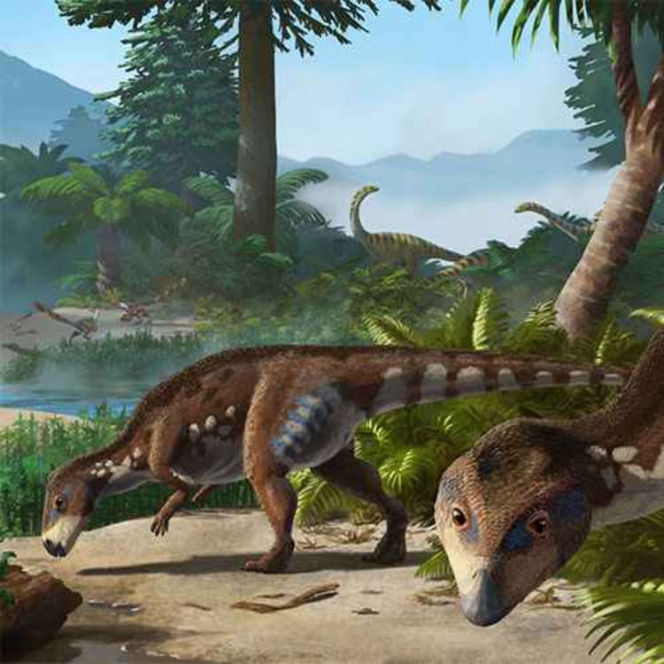 cover art for Transylvanosaurus, the Lizard from Across the Forest