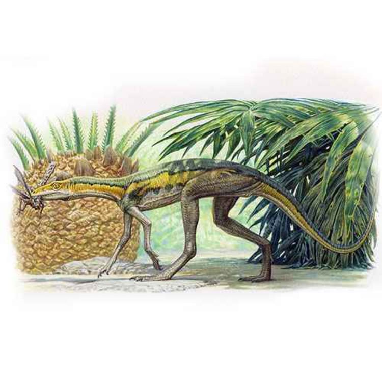 cover art for Lagosuchus, the Rabbit Crocodile