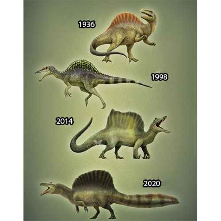 cover art for Spinosaurus, the Spined Lizard