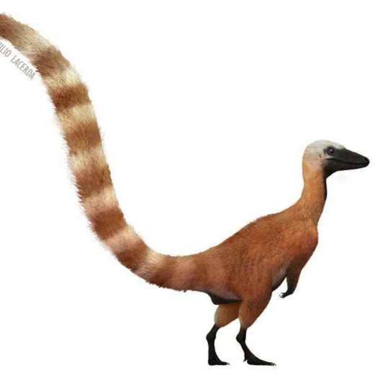 cover art for Sinosauropteryx, the Chinese Lizard Wing