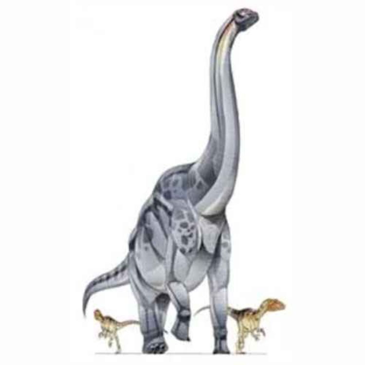 cover art for Sauroposeidon, the Lizard of the Earthquake God