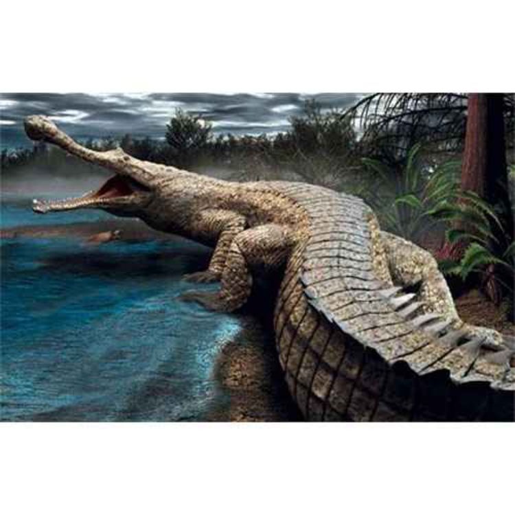 cover art for Sarcosuchus, the Flesh Crocodile