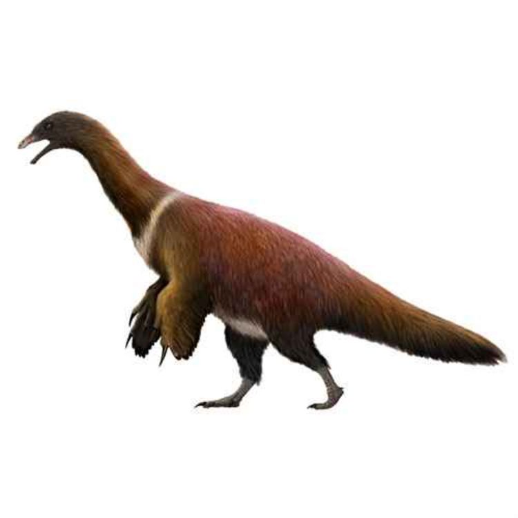 cover art for Martharaptor, the Thief of Martha Hayden