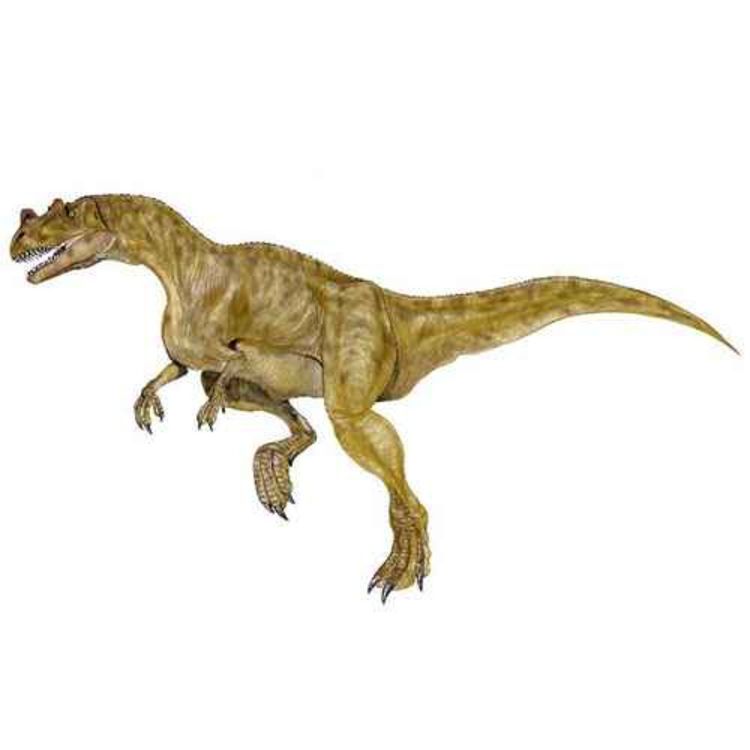 cover art for Ceratosaurus, the Horned Lizard