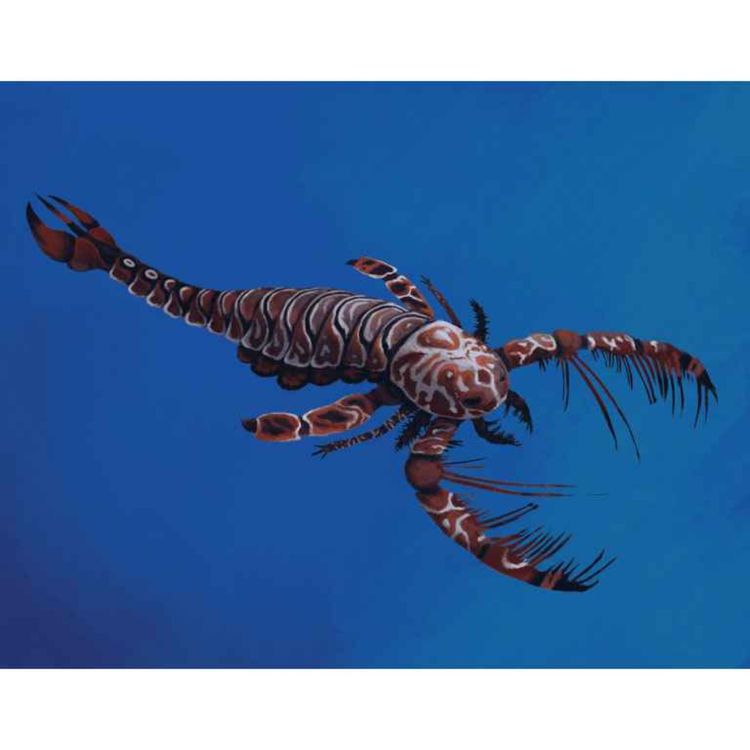 cover art for Megalograptus, the Great Writing