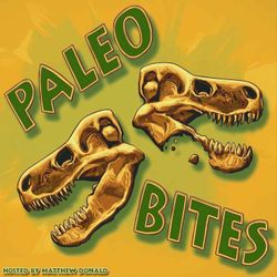 cover art for Paleo Bites